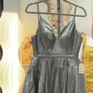 Elegant Silver Gown size 4 NWT
